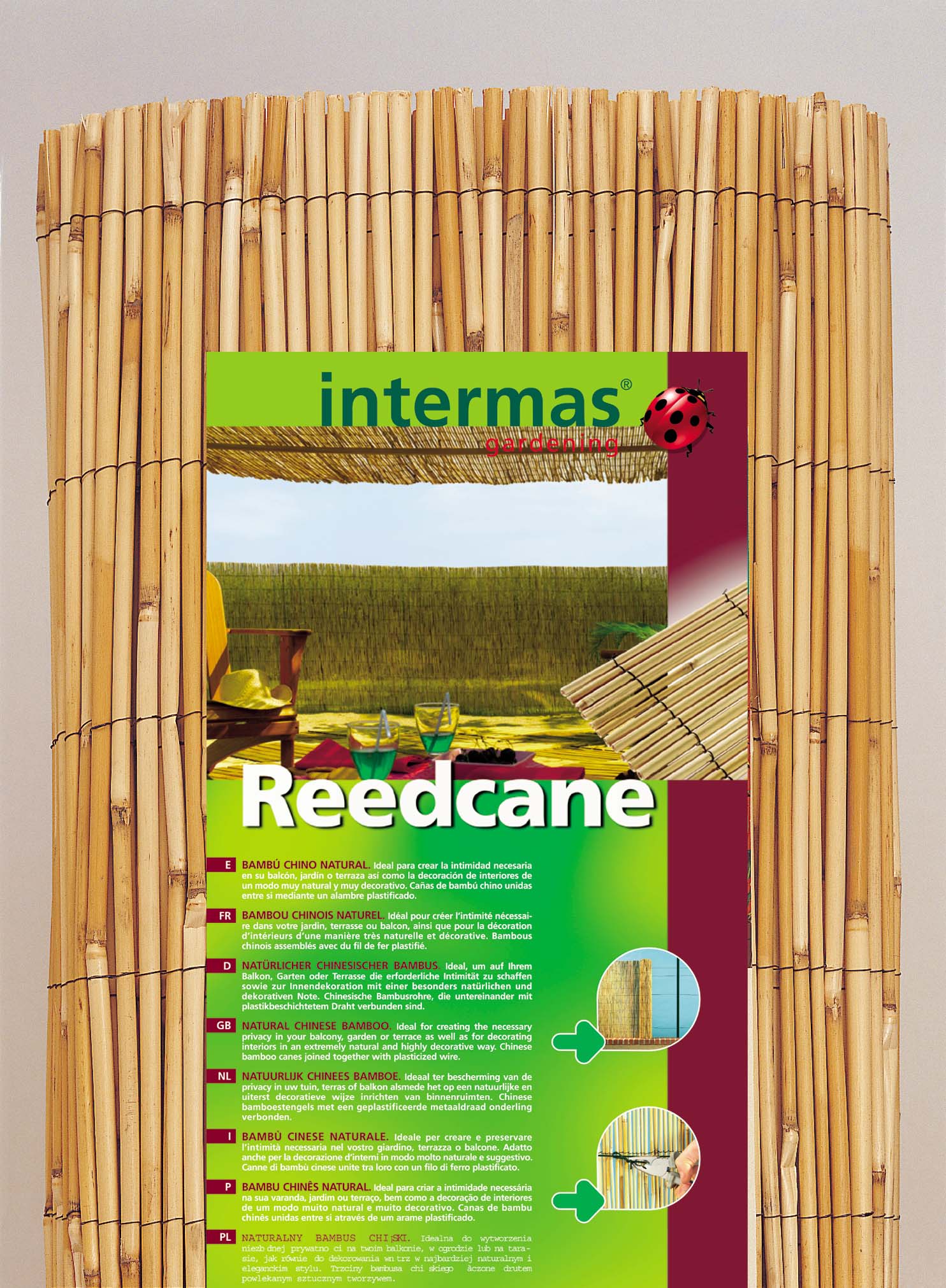 Prírodná trstina Reedcane 1x5 m