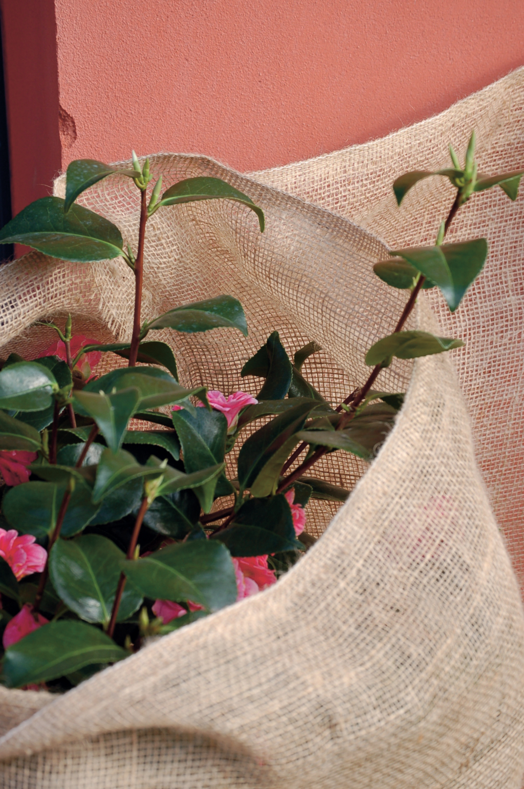 Juta vrece na prezimovanie