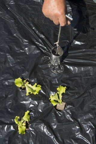 Dierkovač s rukoväťou k pokrývacej fólii priem.60mm