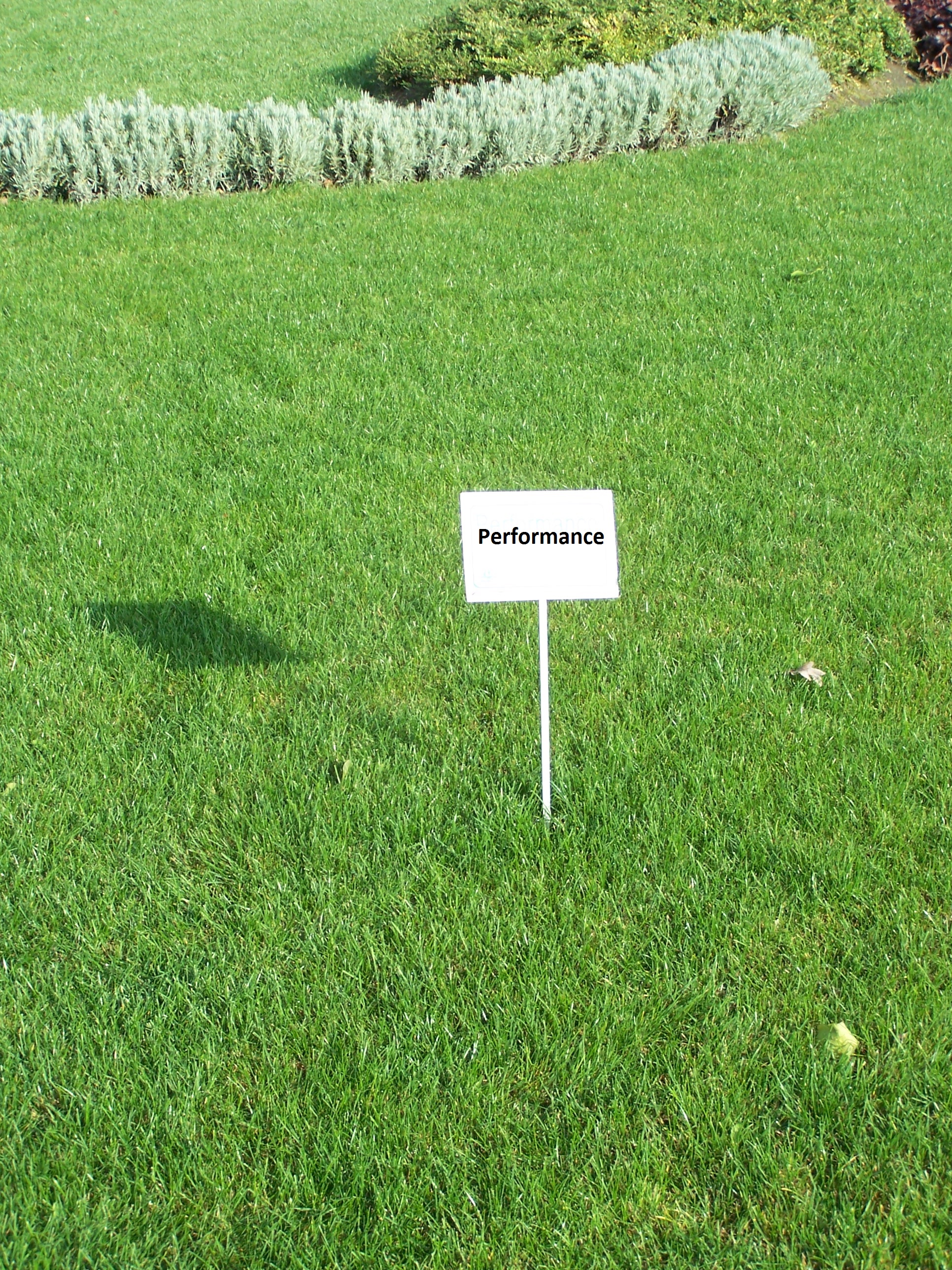 Scotts (Everris) Performance (typu šport) 5 kg