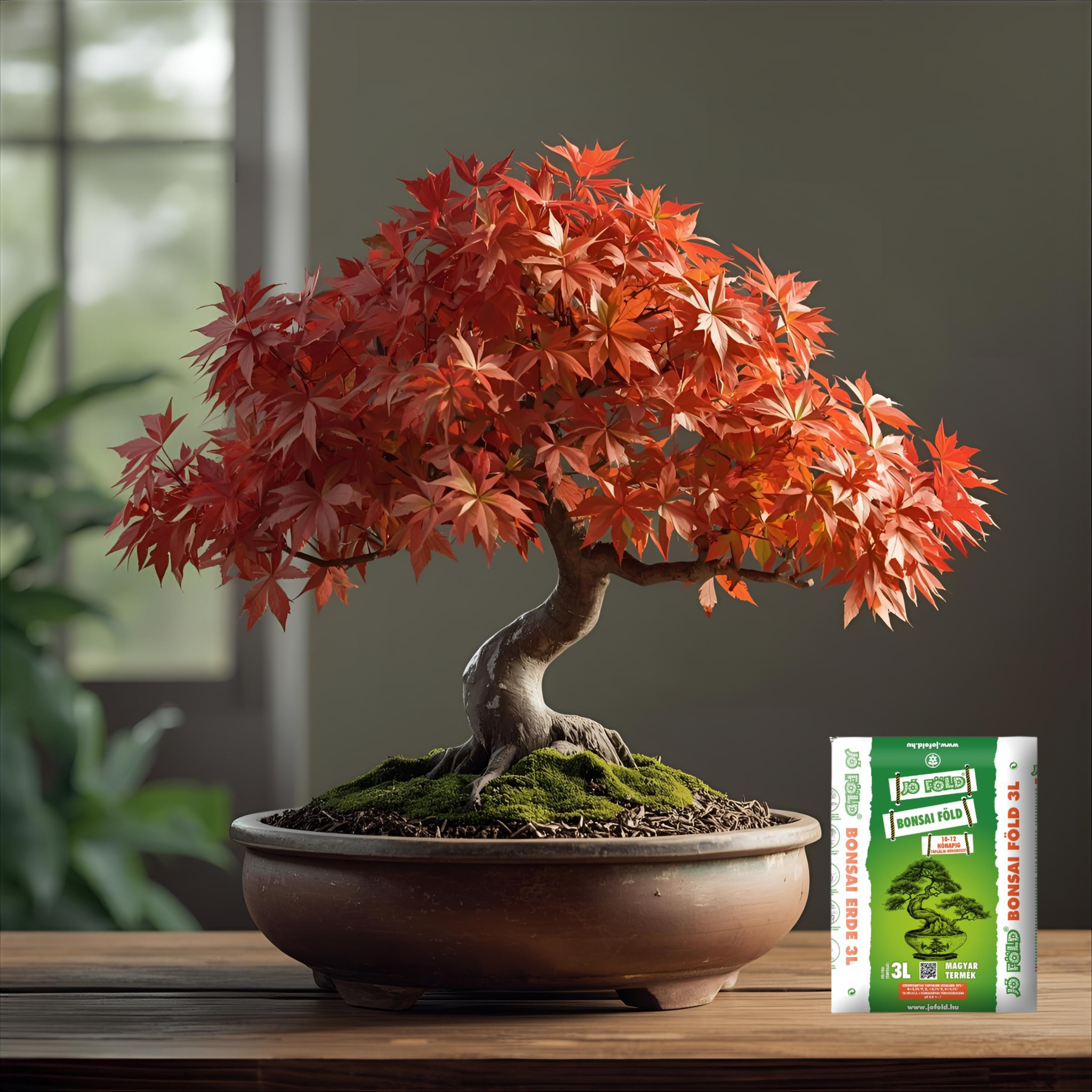 Bonsai föld Jó-Föld 3 l