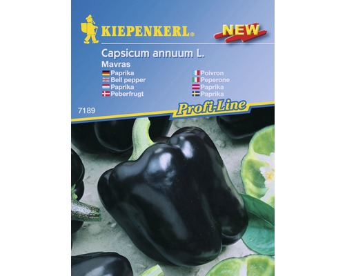 Paprika čierna Mavras F1 Kiepenkerl 7 semien