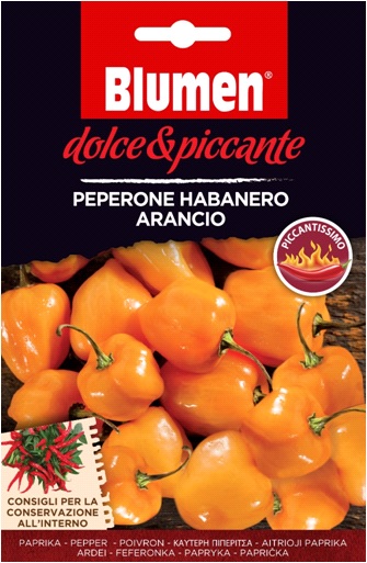 Narancssárga habanero paprika – extrém csípős Blumen (kb. 10-20 szem)