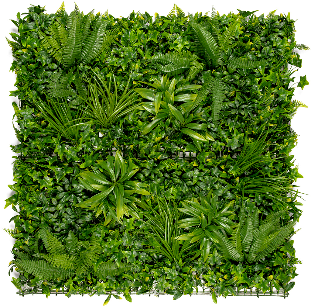Zelená stena s tropickými rastlinami Vertical Tropic 1x1 m