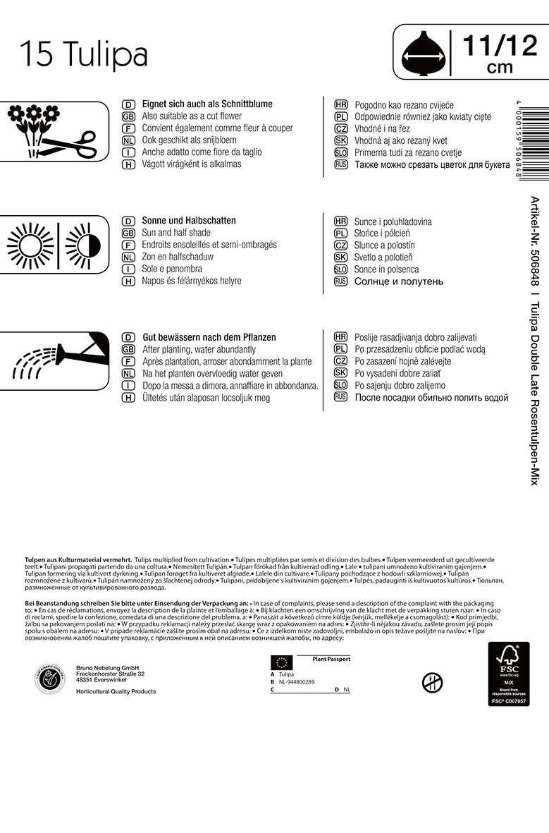 Bulb Tulip Tulip Mega Pack Rose Tulip Mix 15 pcs Kiepenkerl