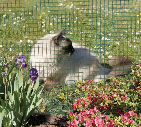 Poultry grid premium plastic coated Fensanet Plast 19 0,5x5m (19x19x0,7/1,1mm)