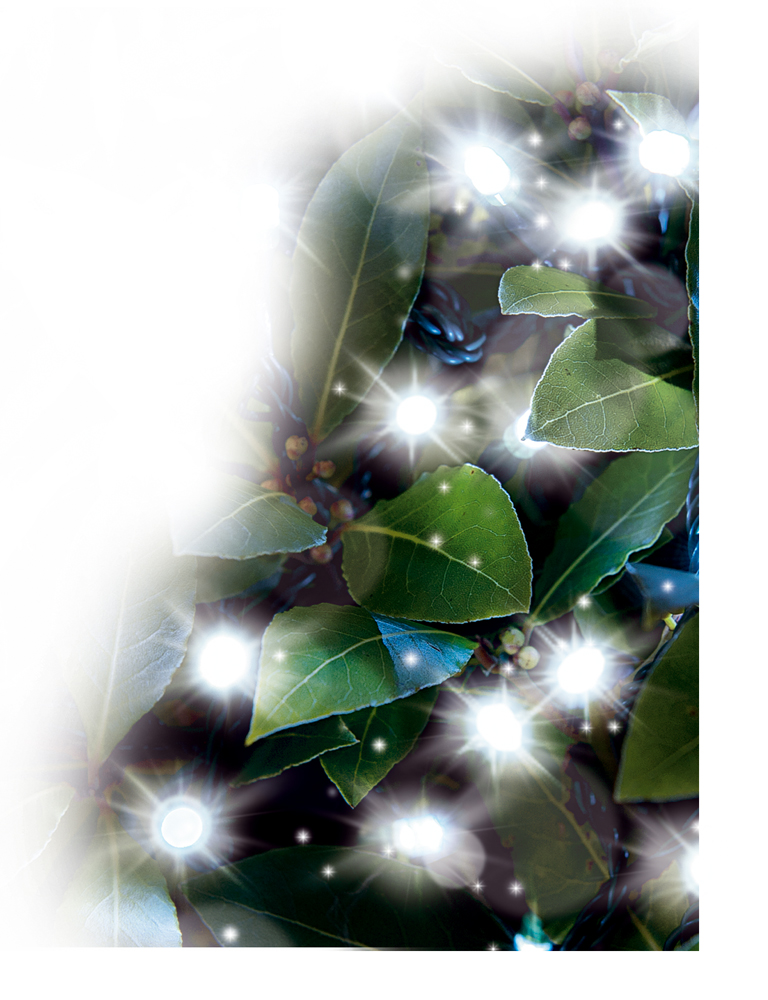 Svetelná girlanda Gardman, 100 Led, biela 11,89 m