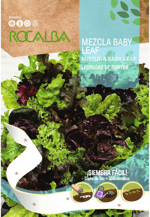 Vetőszalag saláta Baby Leaf de Cortar Rocalba 350 szem 5 m