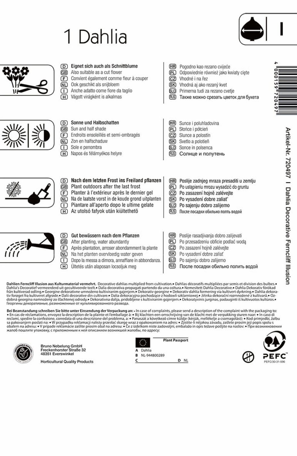 Flower bulb Dahlia Ferncliff Illusion (white-purple-yellow) Kiepenkerl 1 pc