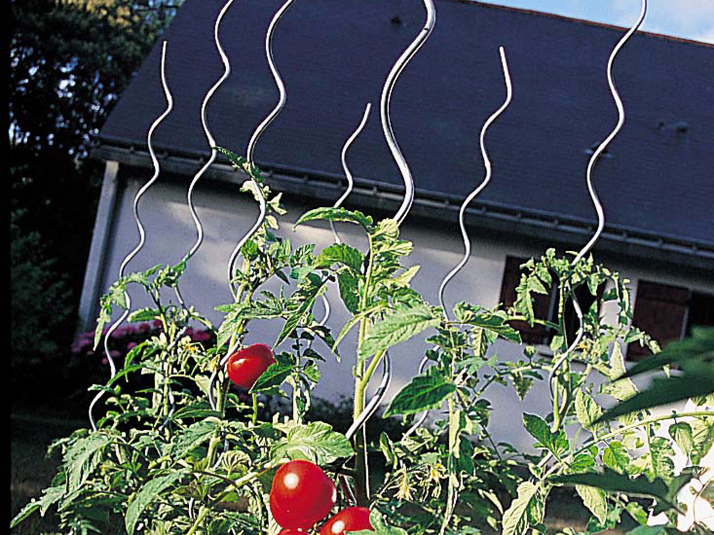 Špirálová opora pre paradajky  1,8 m