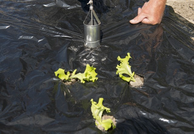 Dierkovač s rukoväťou k pokrývacej fólii priem.60mm