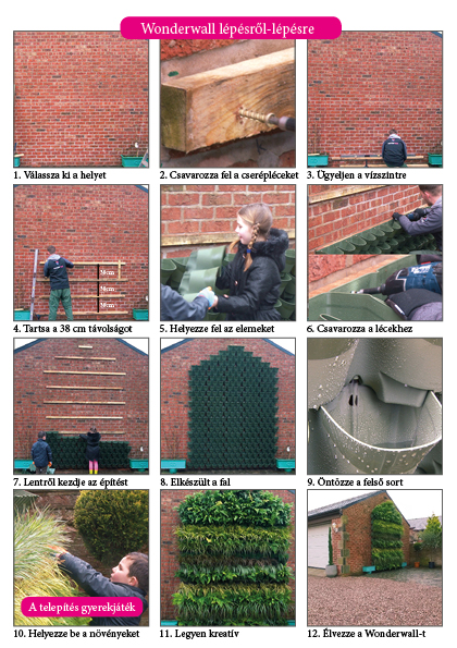 Zelená stena - Wonderwall 1 m2 (14 elementov)