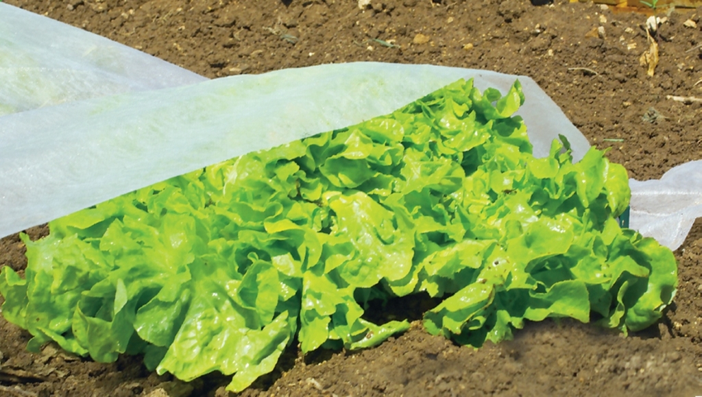 Závesná fólia Climatic 1,6x5 m 17gr/m2