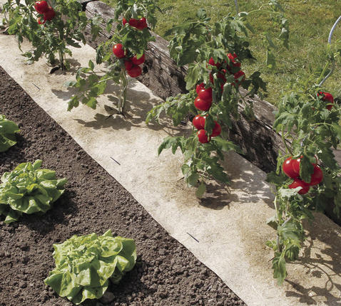 Talajtakaró 100 % természetes Nort Chanverlin 500 0,75x5 m