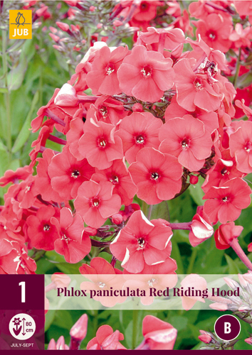 Évelő Phlox Red Riding Hood (Lángvirág) 1 db JUB