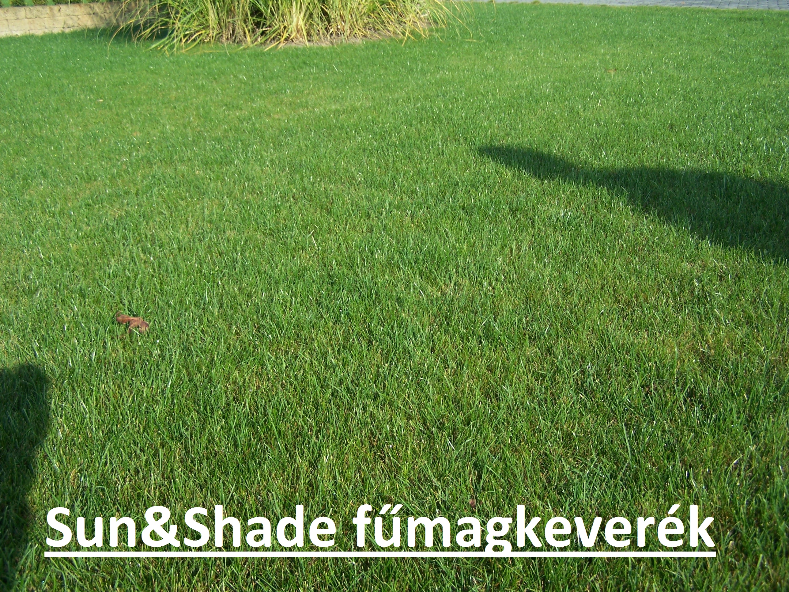 Scotts (Everris) Sun &amp Shade (tieňuodolná) 5 kg