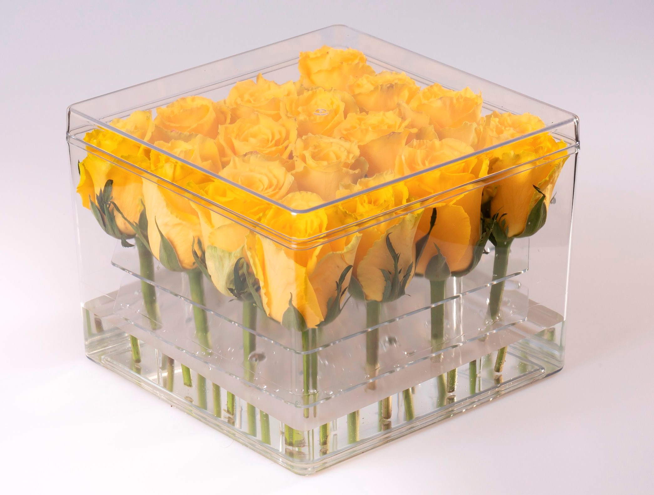 Kvetinová krabica plastová 4x4 stonky