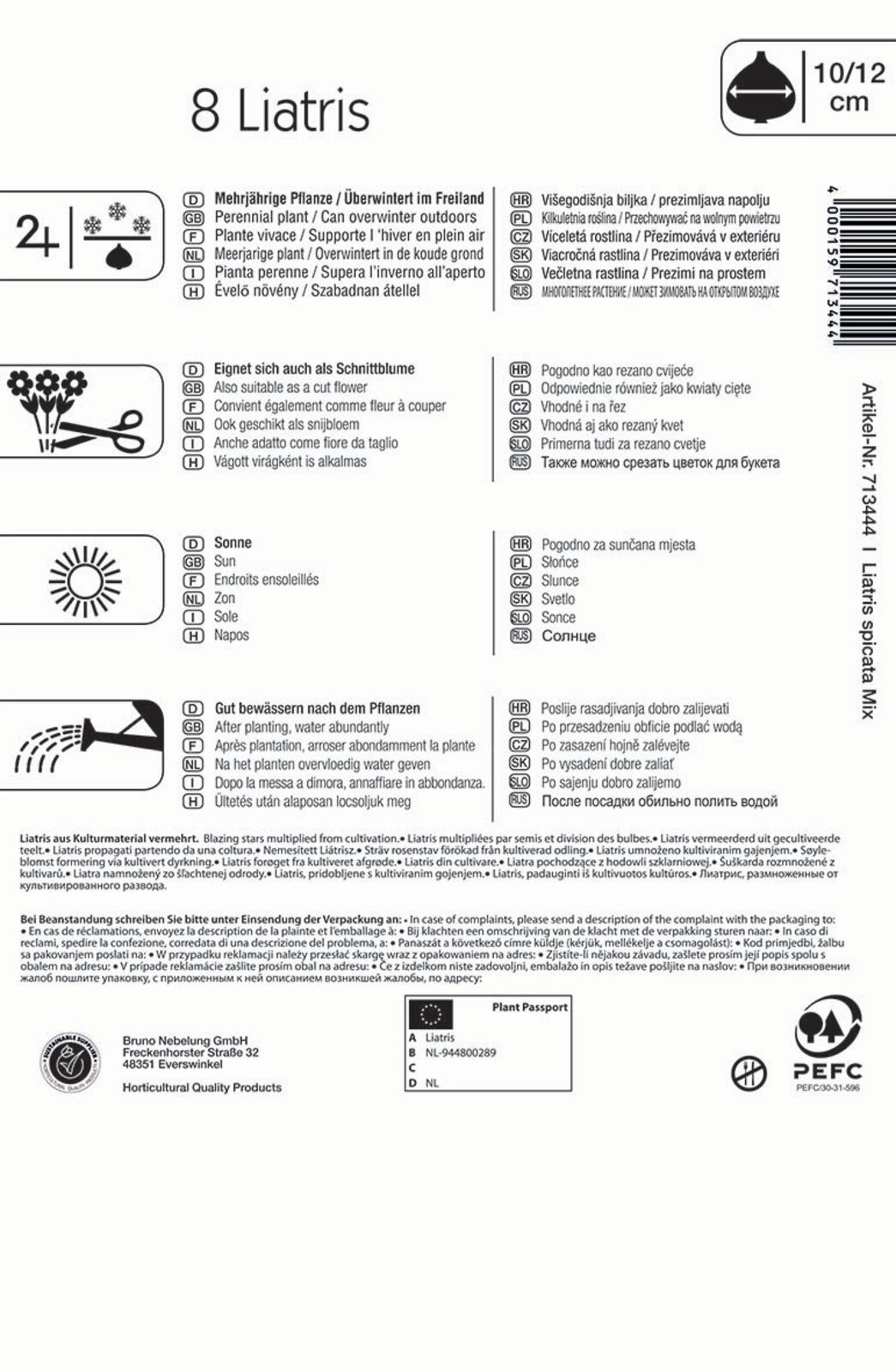 Kvetinová cibuľka okrasná (Liatris) zmes 8 ks