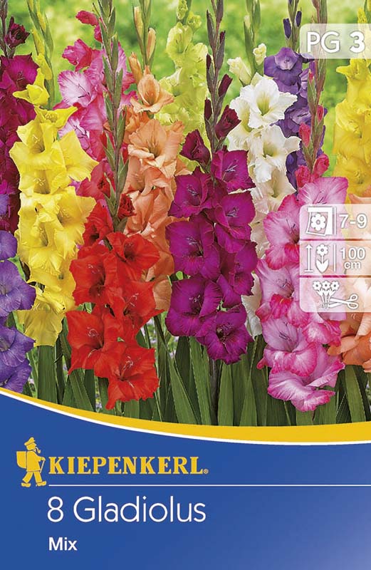 Cibule kvetov Kiepenkerl Mečík zmes farieb 3 ks