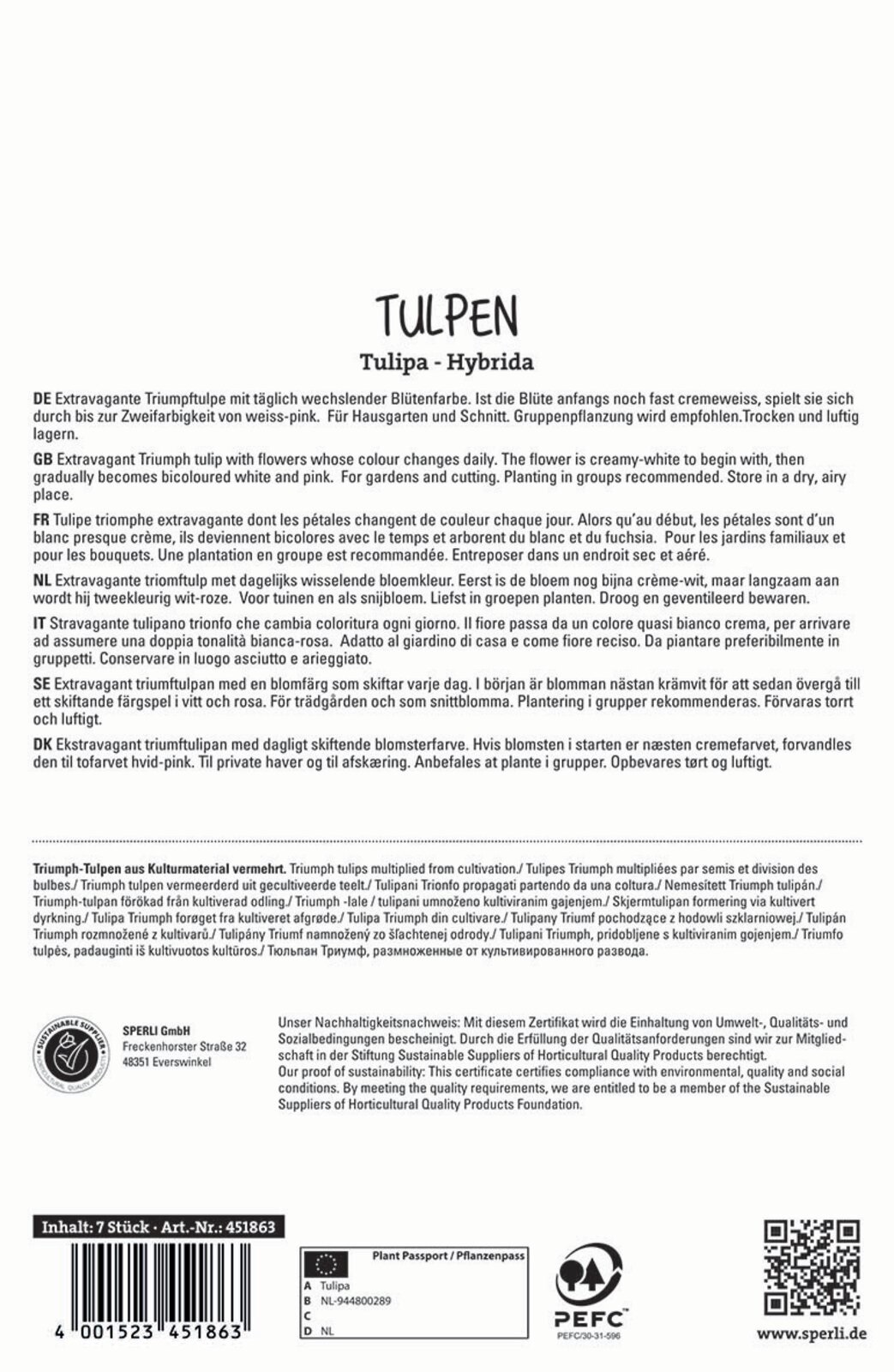 Flower Bulb Tulip Playgirl 7 pcs Sperli