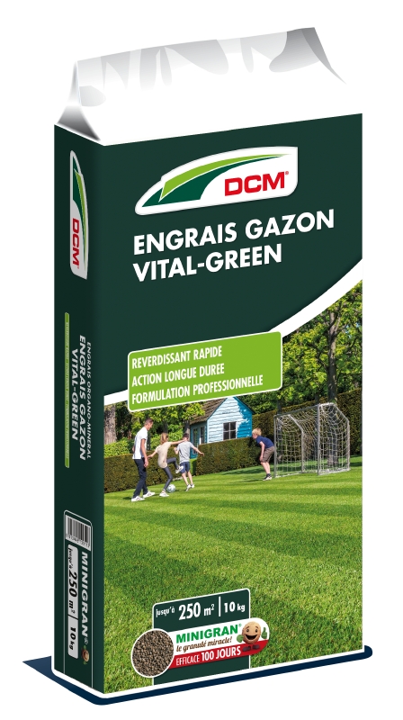 DCM Vital green 14-4-8+3 MgO+Fe+mikroelementy 10 kg