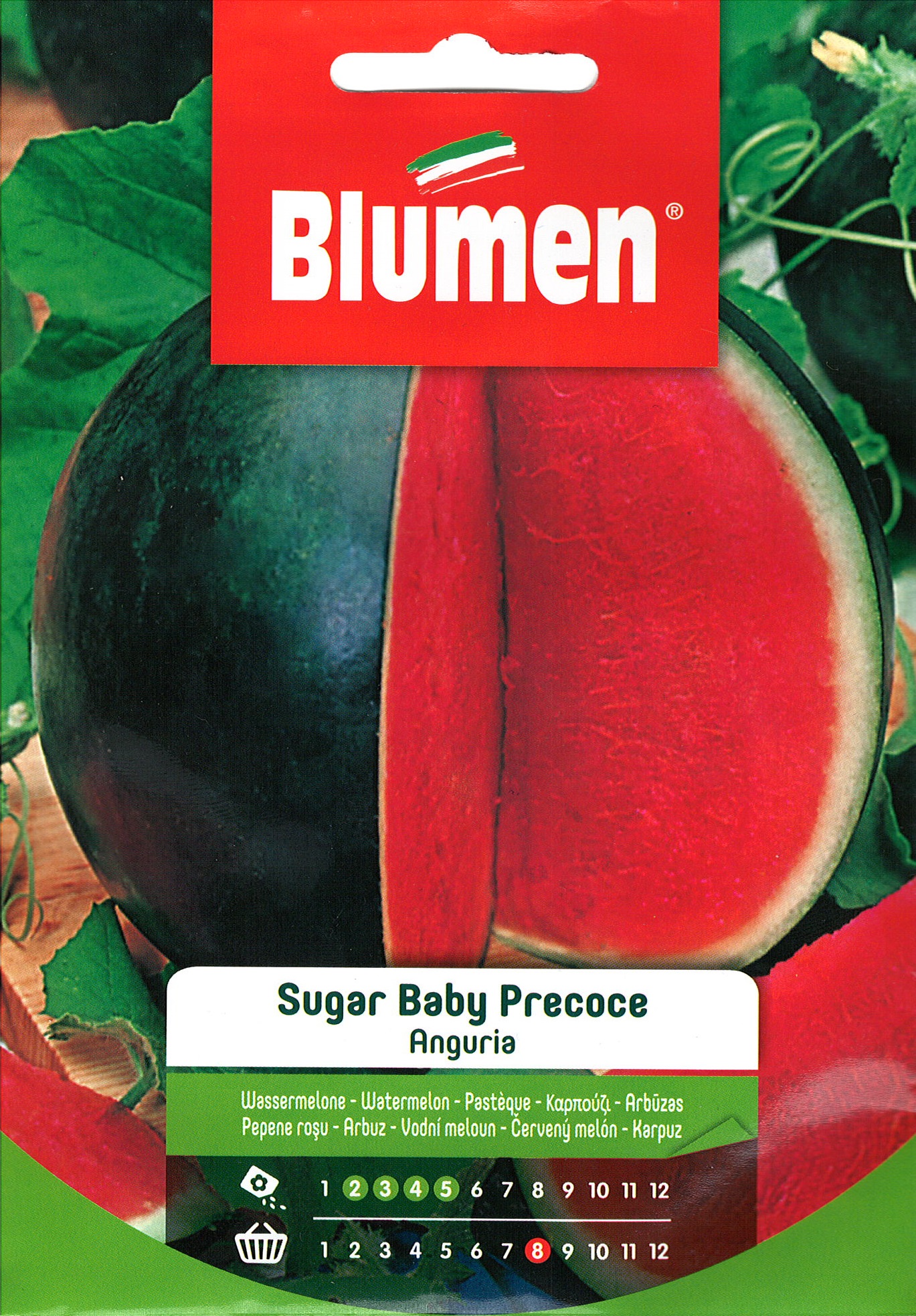 Melón Sugar Baby Blumen 4g