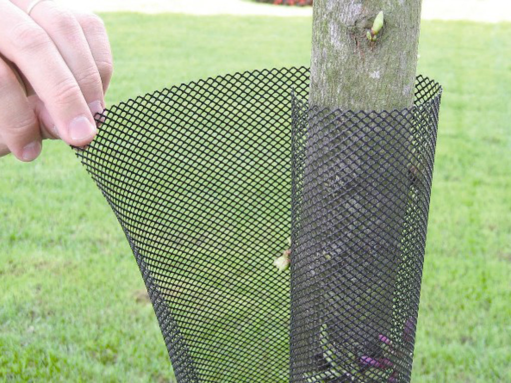 Ochranná mriežka pre stromčeky čierna 80 cm (11 cm priemer)