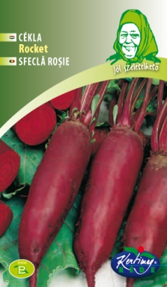 Červená repa Rocket 4g