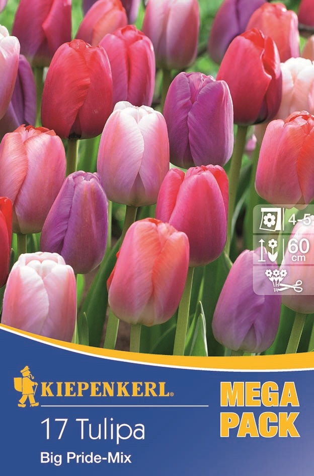 Tulipánové cibule Megapack, Kiepenkerl Big Pride-Mix 17 ks