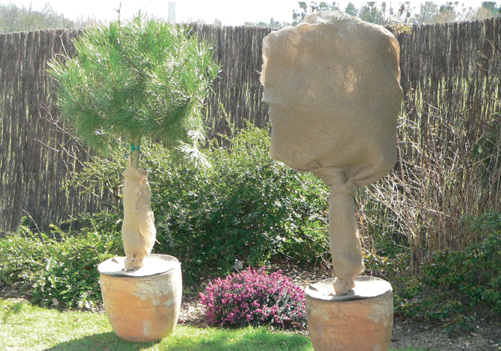 Juta szövet Naturerol 1x10 m