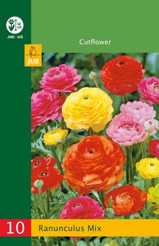 Virághagyma Boglárka (Ranunculus) Mix 10 db JUB