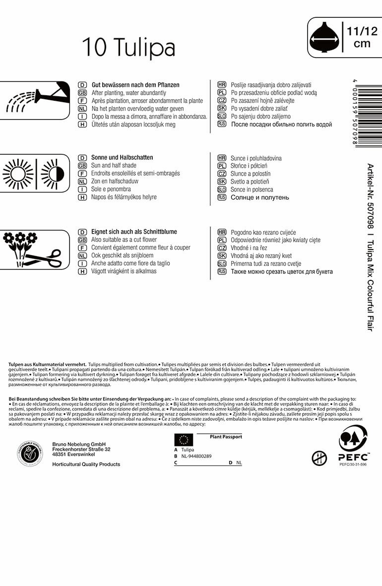 Bulb Tulip mix Colourful Flair 10 pcs Kiepenkerl