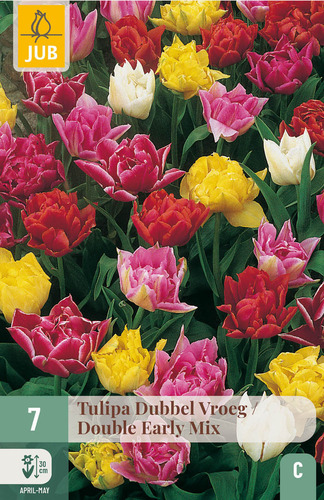 Bulb Tulip Dubbel Vroeg/Dubble Early Mix 7 ks JUB