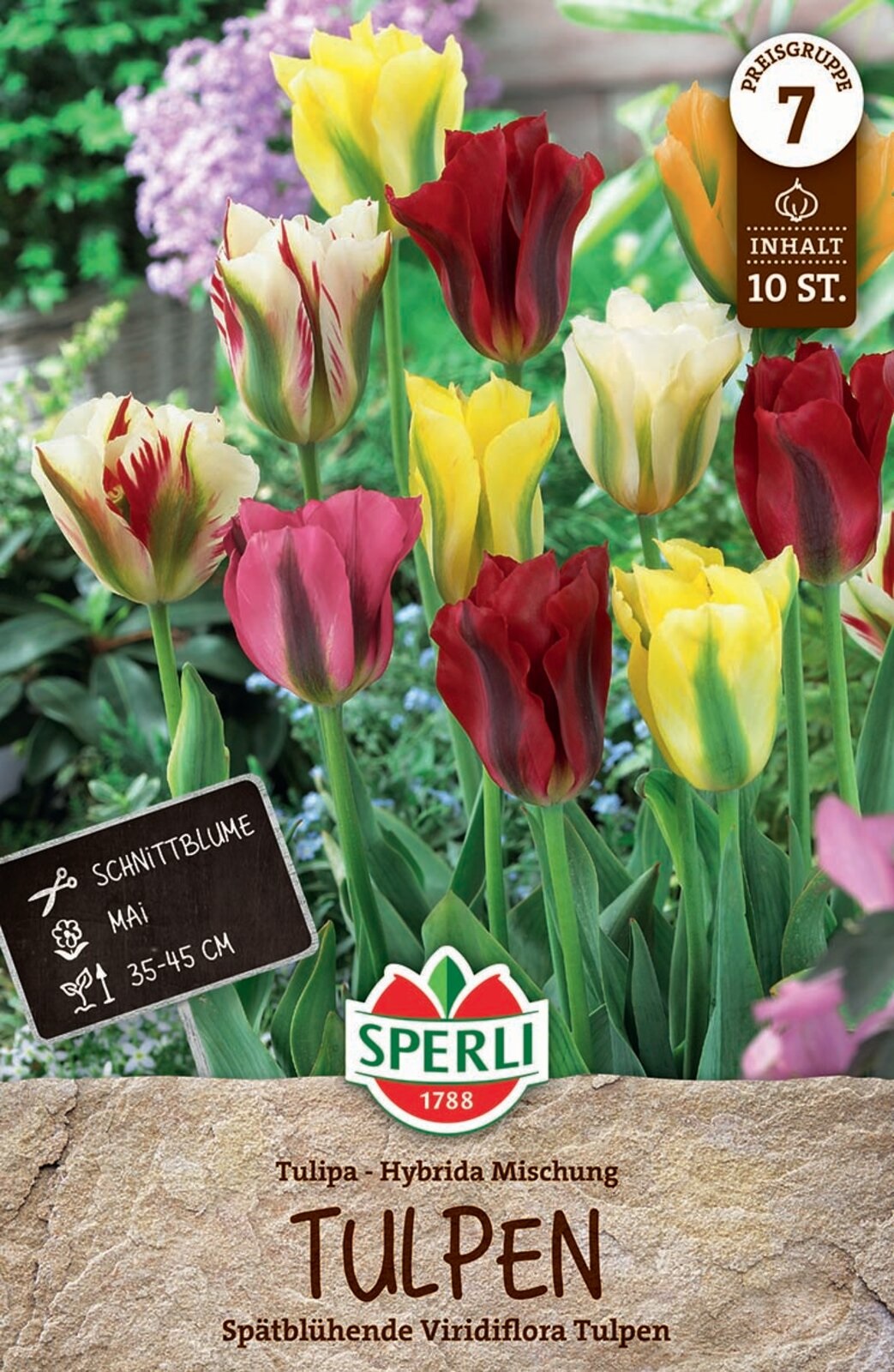 Virághagyma Tulipán színkeverék Viridiflora 10 db Sperli