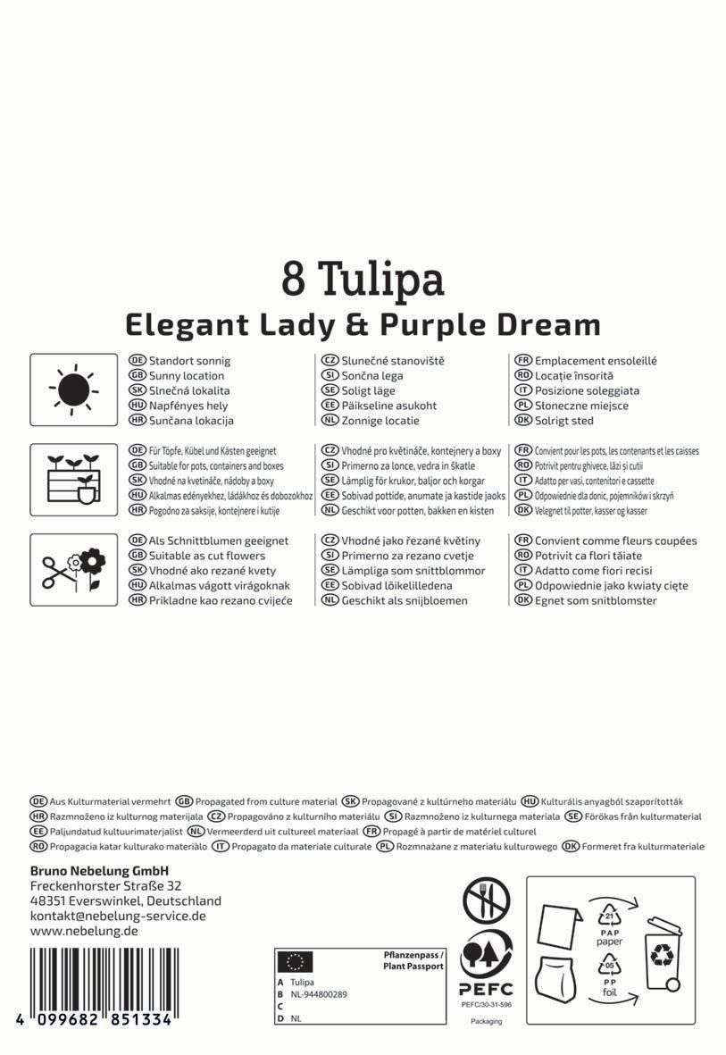 Virághagyma Tulipán Coutryside Duo Kiepenkerl 8 db