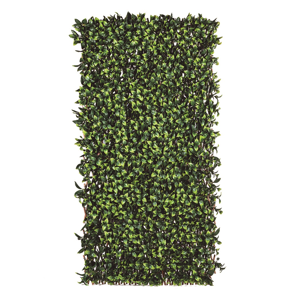 Bambusová mriežka s ozdobnými listami TRELLIBAMBU BUXUS zeleno-hnedá 1 x 2 m