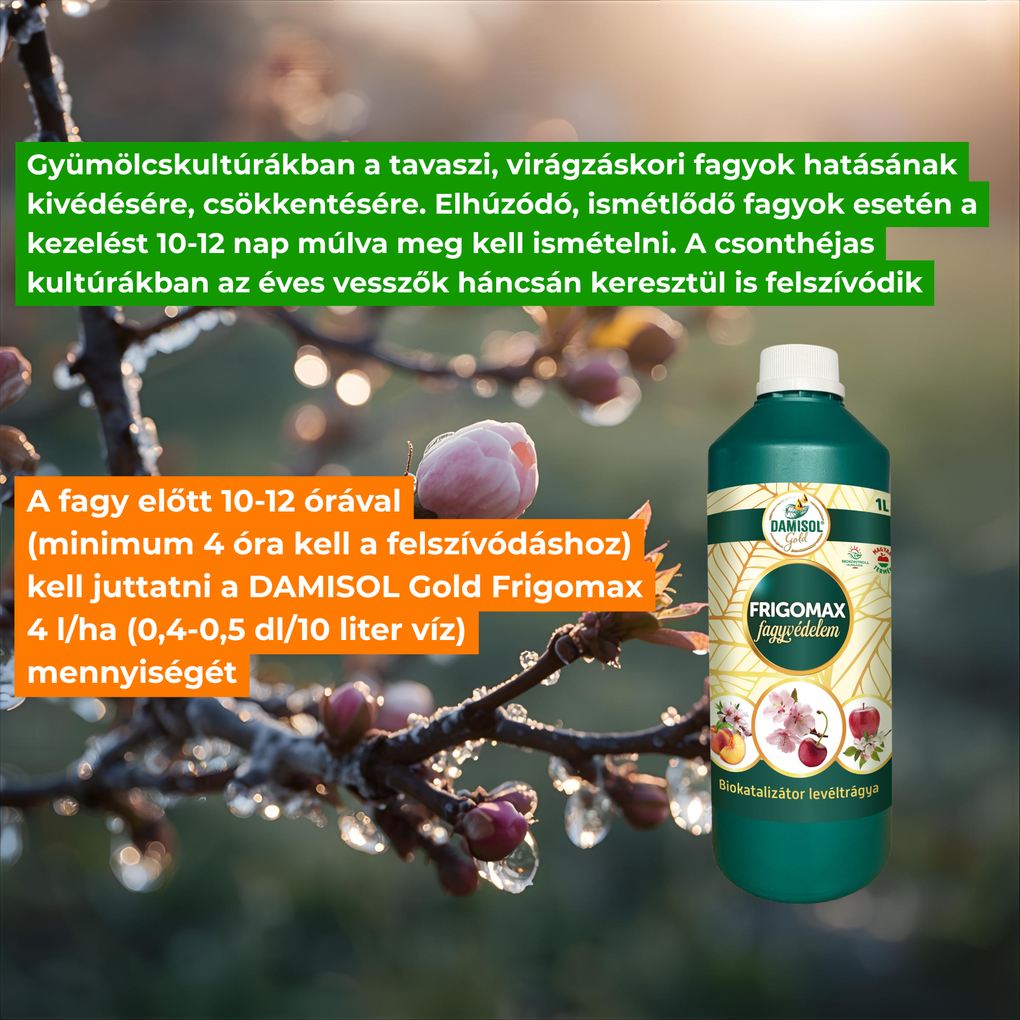 Damisol Gold Frigomax ochrana proti mrazu 1 l