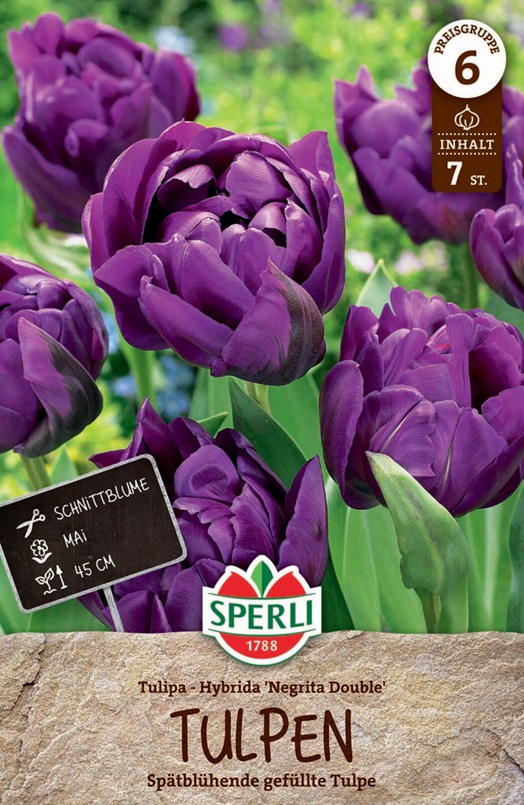 Bulb Tulip with full bloom Negrita Double 7 pcs Sperli