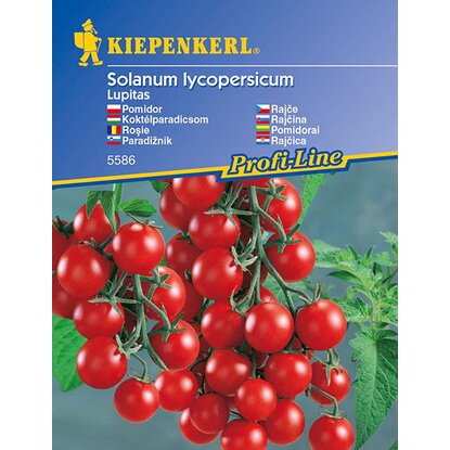 Čerešňové paradajky Lupitas min. 8 ks semien Kiepenkerl