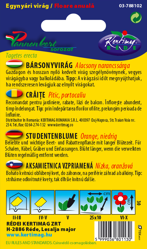 Aksamietnica nízka veľkokvetá (pomaranč) 1g