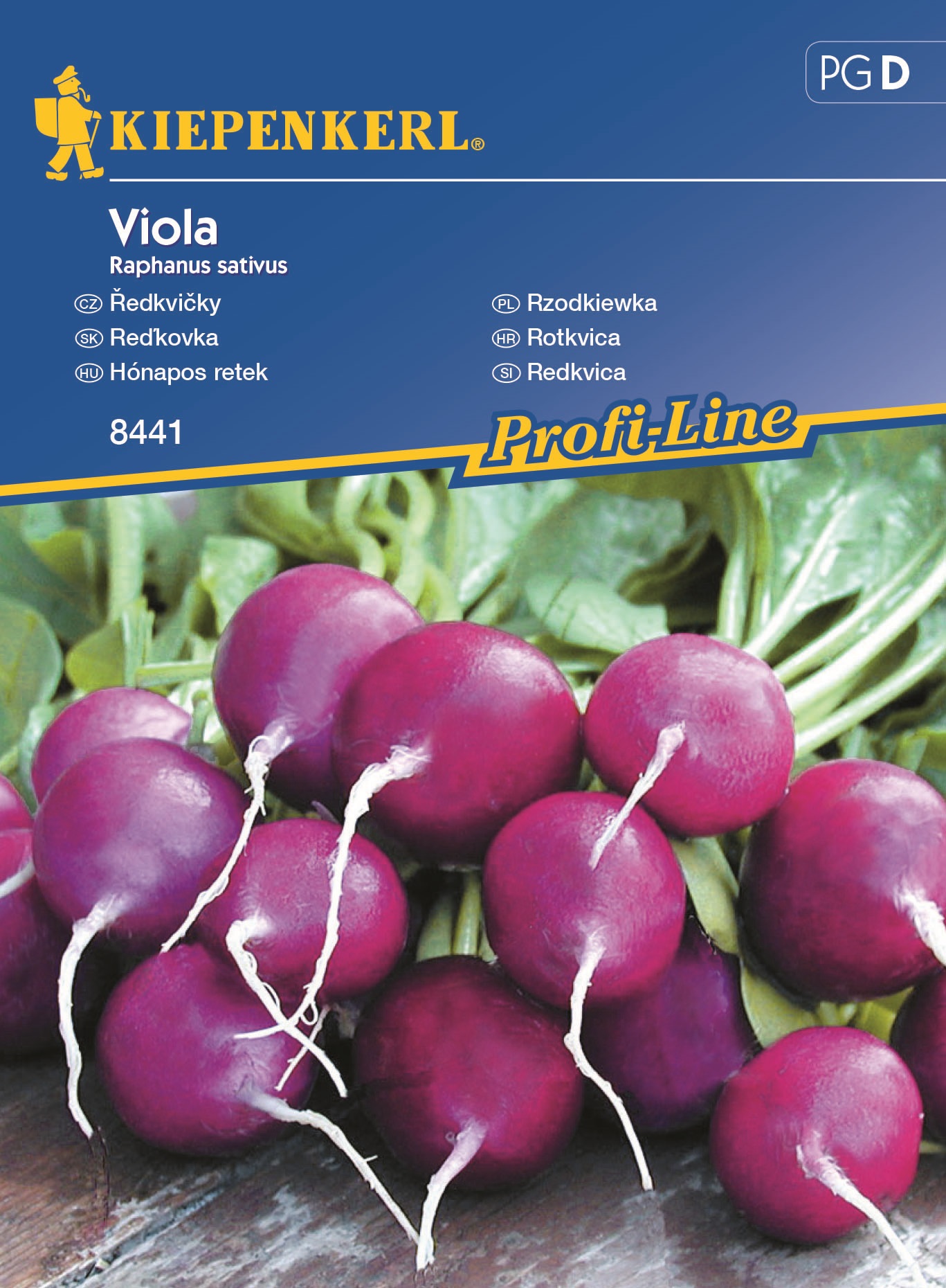 Reďkovka fialová Viola Kiepenkerl kb. 200 semien