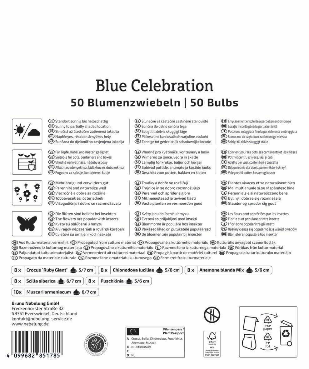 Zmes kvetinových cibuliek Blue Celebration Kiepenkerl 50 ks