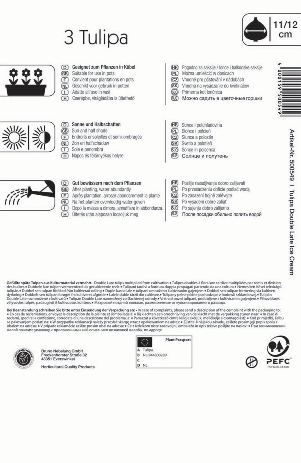 Virághagyma Tulipán Ice Cream 5 db Kiepenkerl