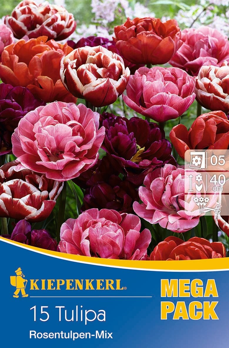 Bulb Tulip Tulip Mega Pack Rose Tulip Mix 15 pcs Kiepenkerl