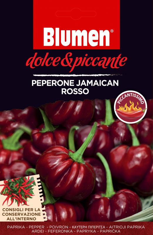 Jamaikai vörös pepperóni Blumen (10-20 szem)